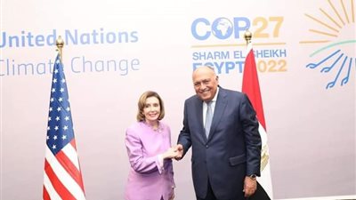 وزير الخارجية: 
