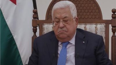 بالفيديو.. 