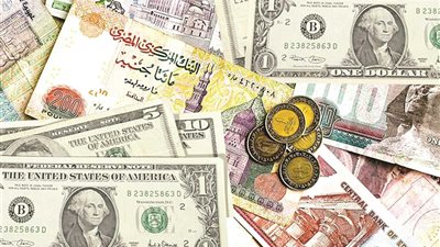 بعد قرض صندوق النقد.. الجنية المصري بين الانخفاض والصراع أمام الدولار وخبراء يوضحون (خاص)