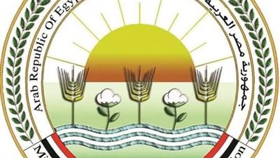 الزراعة: الإفراج عن 145 ألف طن أعلاف بقيمة 70 مليون دولار