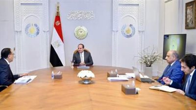 الرئيس السيسي يتابع خطة إصلاح وتطوير شركات القطاع العام مع الحكومة