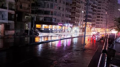 أمطار ليلية وطقس شديد البرودة بمحافظة الإسكندرية