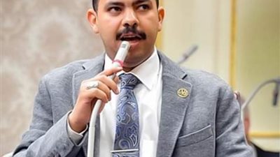 نائب رئيس حزب مستقبل وطن ينعى المراسل التليفزيوني سيد موسى