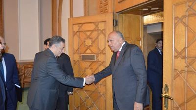 وزير الخارجية يترأس اجتماع مجلس إدارة الوكالة المصرية للشراكة من أجل التنمية