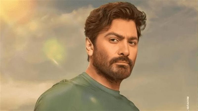 تامرحسني