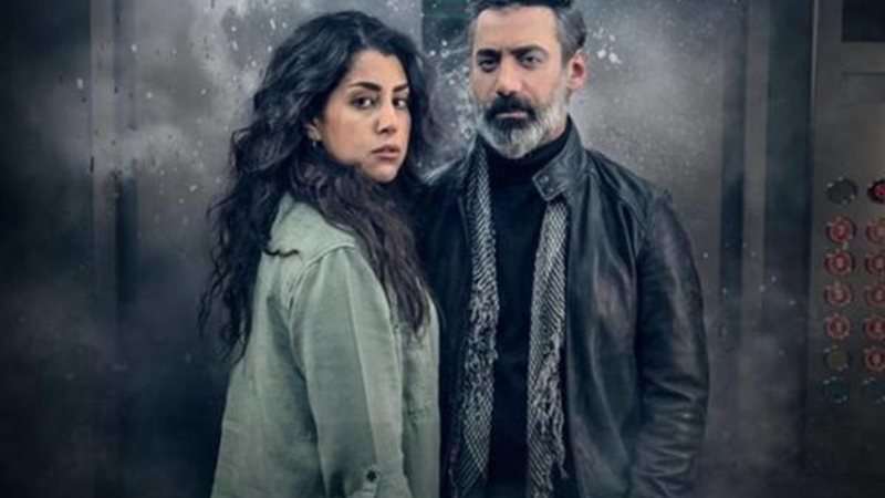 أيتن عامر والفنان