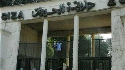الزراعة تؤكد استمرار حديقتي الحيوان والأورمان تحت ولايتها
