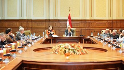 وزيرة التخطيط تشارك اللجنة المشتركة بمجلس الشيوخ جهود تحفيز الاستثمار في مصر