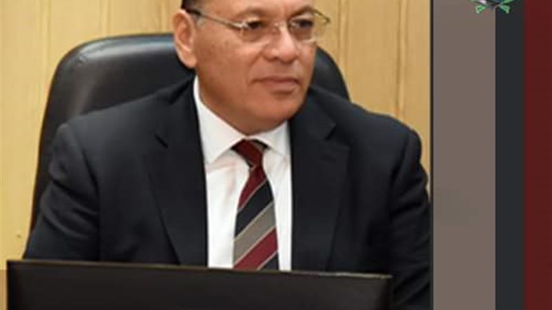محافظ الشرقية