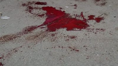 بطلقتين في اليد والقدم..الداخلية تتمكن من ضبط مسلح قام بترويع المواطنين ببور سعيد