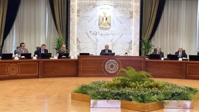 الحكومة تشترط موافقة مجلس الدولة لمنح شركة 
