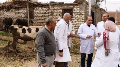 الطب البيطري بالشرقية يعلن انطلاق الحملة القومية لتحصين الماشية