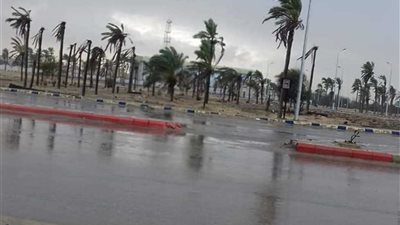 حالة الطقس اليوم السبت 21 يناير تشهد سقوط أمطار.. والعظمى بالقاهرة 10