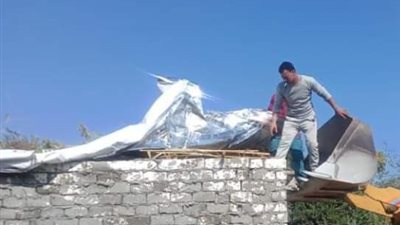 حملات لإزالة التعديات المخالفة على الأراضى الزراعية  بمراكز الشرقية