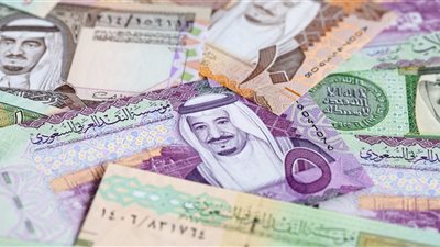 سعر الريال السعودي في البنك المركزي المصري اليوم الثلاثاء 24 يناير
