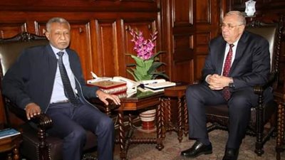 وزير الزراعة يبحث مع مسئولي منظمة الأغذية بالقاهرة 