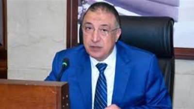 محافظ الإسكندرية يلتقي وفد برنامج المنح الصغيرة العالمي
