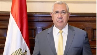 موعد انخفاض أسعار اللحوم والدواجن بالأسواق