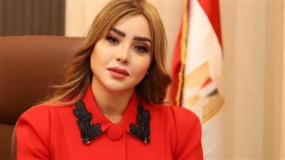 مصر أكتوبر يعلن انضمام «الباز والقشاوي» لـ تنسيقية شباب الأحزاب