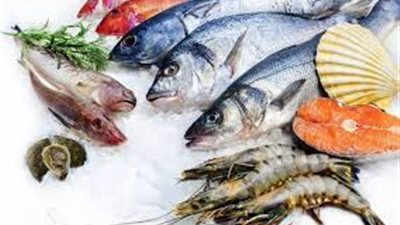 البلطي بـ49 جنيه.. تعرف على أسعار السمك بالأسواق 