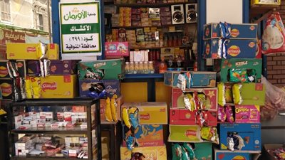 محافظ المنوفية يقدم مساعدات مالية لتمويل المشروعات الصغيرة