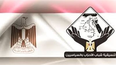 متحدث التنسيقية: كتاب «مفاهيم سياسية» يعبر عن رؤية شبابية خالصة 