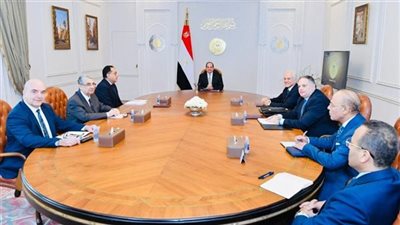 السيسي يلتقي رئيس مجموعة شركات كوبولوزيس اليونانية للكهرباء لبحث سبل التعاون