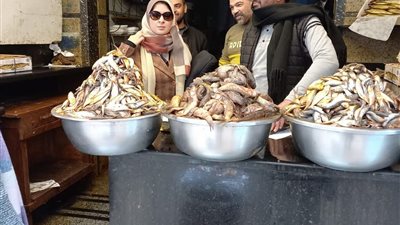 بالصور| انطلاق حملة بـ كفر الدوار للقبض على المخالفين 