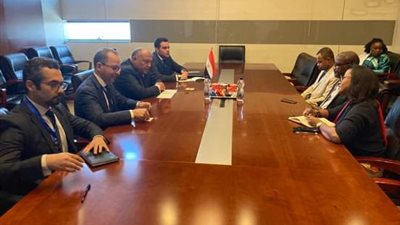 وزير الخارجية يبحث ملف العلاقات الثنائية بين مصر وجزر القمر 