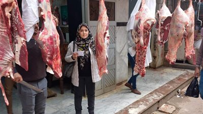 في ضربة موجعة للفاسدين.. «حماية المستهلك» يضبط كميات لحوم غير صالحة بدمنهور