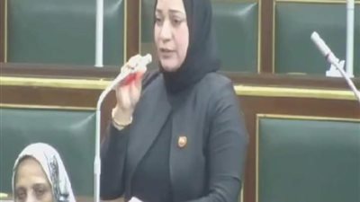 النائبة صفاء جابر تقدم طلب إحاطة بشأن مشروعات محافظة أسيوط