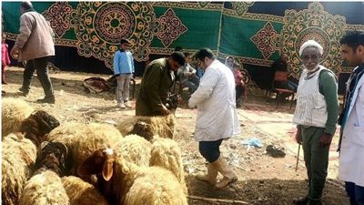 محافظ الشرقية يوجه بالاهتمام بالثروة الحيوانية من أجل زيادة الإنتاجية