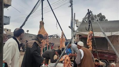 «خلي الفقير ياكل».. أبو حمص تدشن مبادرة عجول الشراكة لتحطيم غلاء أسعار اللحوم