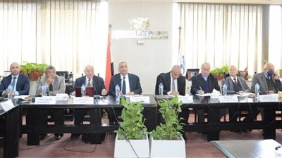 الرئيس التنفيذي لهيئة الطاقة: مصر شهدت نقلة كبرى في المشروعات المتجددة