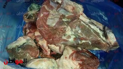 أكلت كام حمار؟!.. بوابة المواطن في مغامرة جديدة لكشف جرائم ذبح الحمير