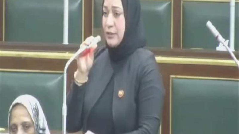 النائبة صفاء جابر