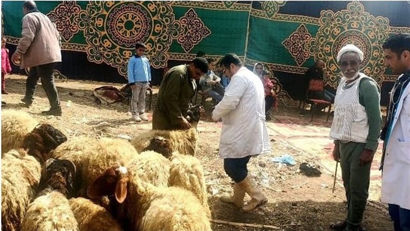 قوافل الطب البيطري