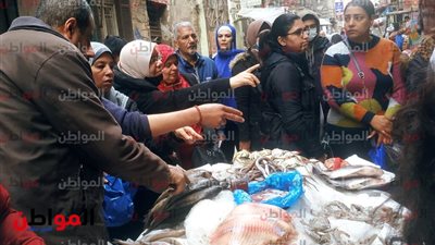 صور.. أسعار الأسماك بشارع فؤاد أول شبرا مصر تخطف الأنظار 