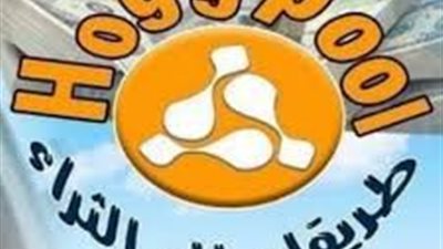 كيف يتم استرجاع أموال هوج بول؟.. مستشار جرائم أموال عامة يجيب
