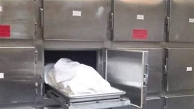 ضبط مرتكب واقعة تقطيع جثة وإلقائها في صناديق قمامة بالمعادي