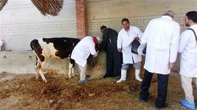 وزارة الزراعة تطلق حملة قومية للتحصين ضد الحمى القلاعية