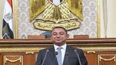 أمين سر اللجنة التشريعية بمجلس النواب: يوم الشهيد يجسد أسمى معاني الوطنية والفداء