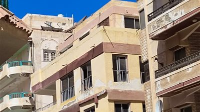 إصابة شخصين في مشاجرة بالعصا والشوم في منطقة النخيل بالإسكندرية