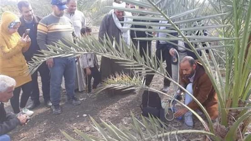 زراعة الشرقية تواصل
