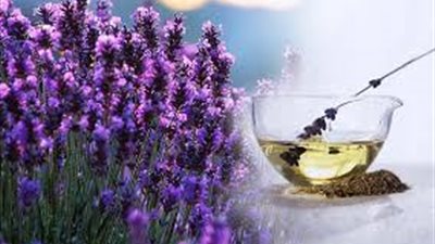 دراسة تنصح باستخدام عطر نبات 