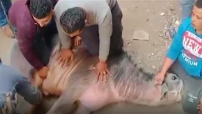 إنهاء خصومة ثأرية بين عائلتين في قرية السنطة الغربية