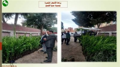 محافظ الشرقية يتابع أعمال زراعة الأشجار بمراكز ومدن المحافظة 