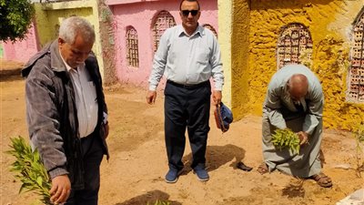 زراعة أشجار في حديقة العائلات بمركز القوصية بأسيوط