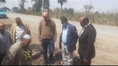 بني سويف تواصل فعاليات مبادرة  100 مليون شجرة بمركز الواسطي 