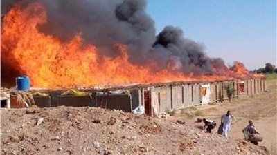 كشف ملابسات اندلاع حريق بمزرعة دواجن في الصف